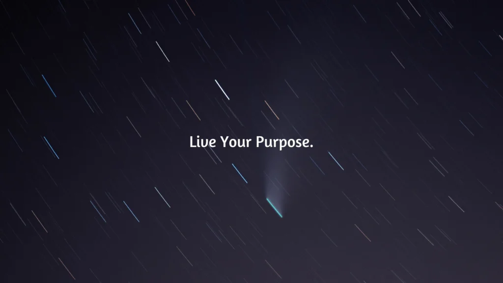 Reflections on a Developer's Journey and finding your purpose